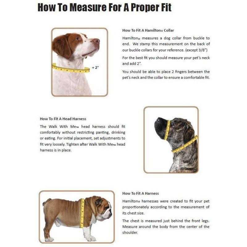 Thick Nylon Dog Collar A5063