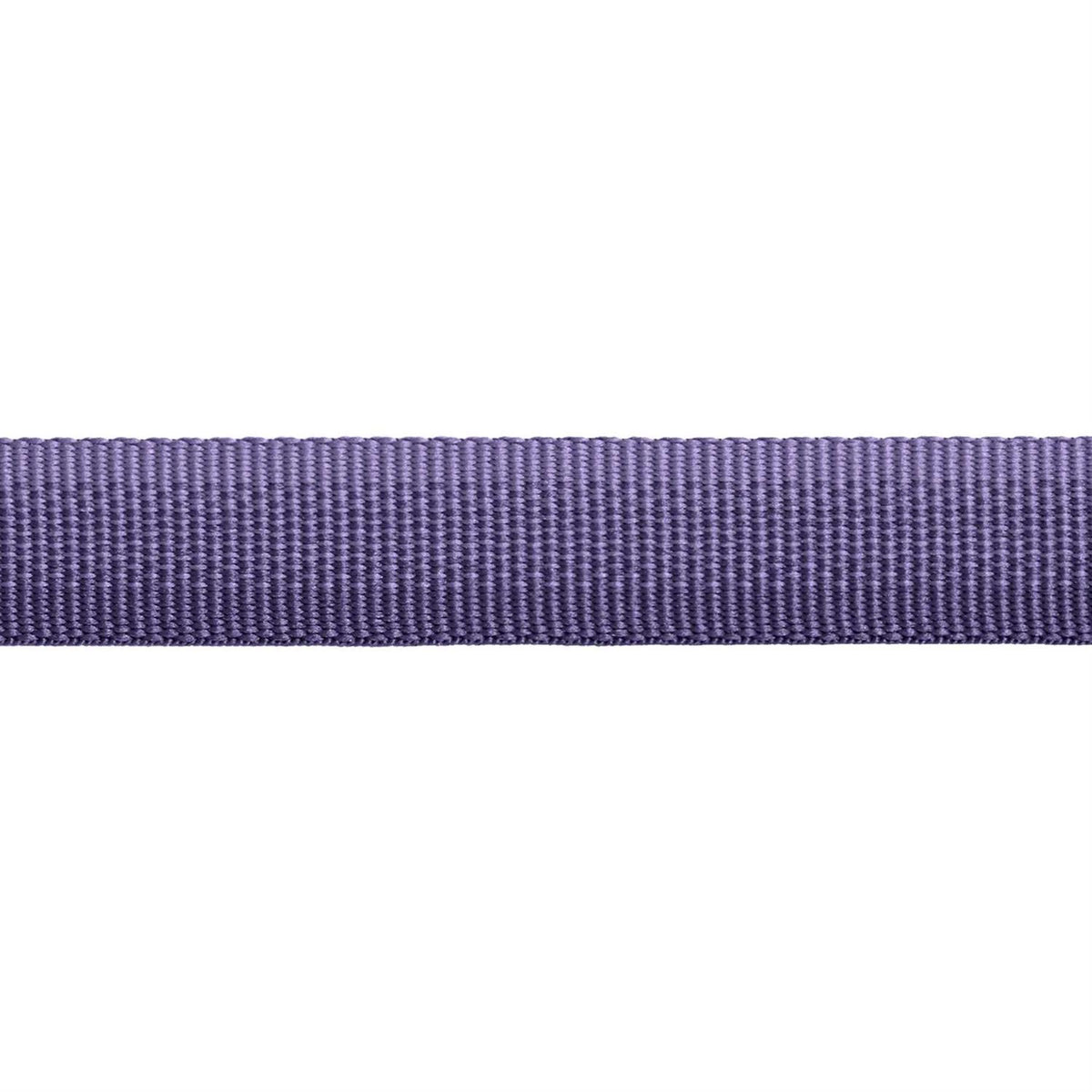 Dog Collar X385