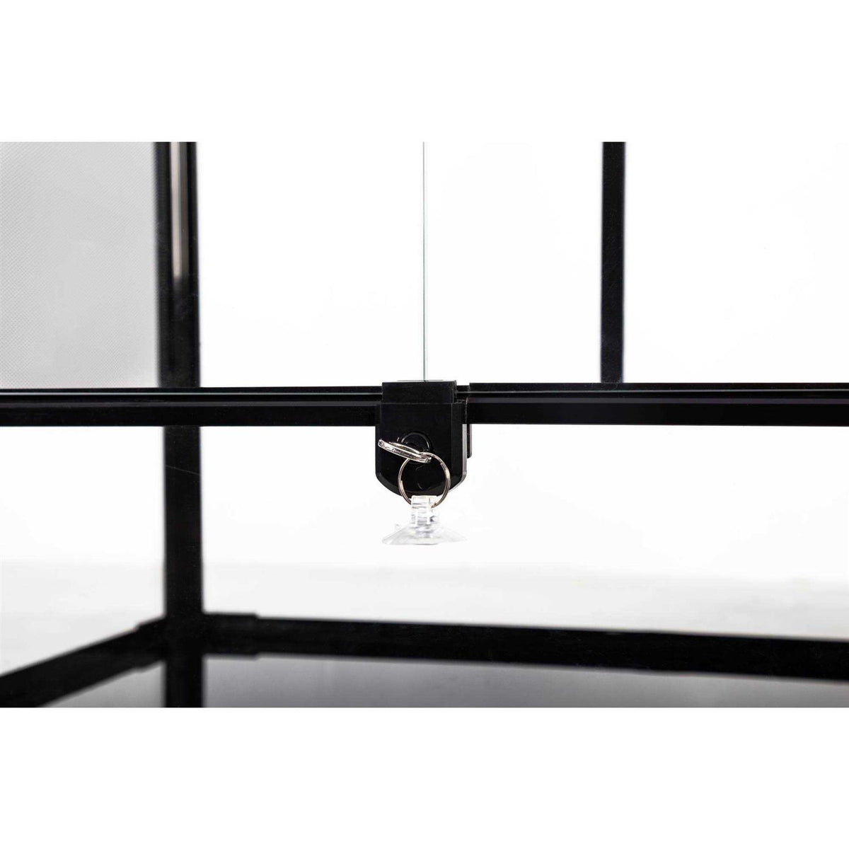 Vertical Glass Terrarium C576