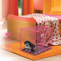 2 Door Training Retreat Kennel I66705