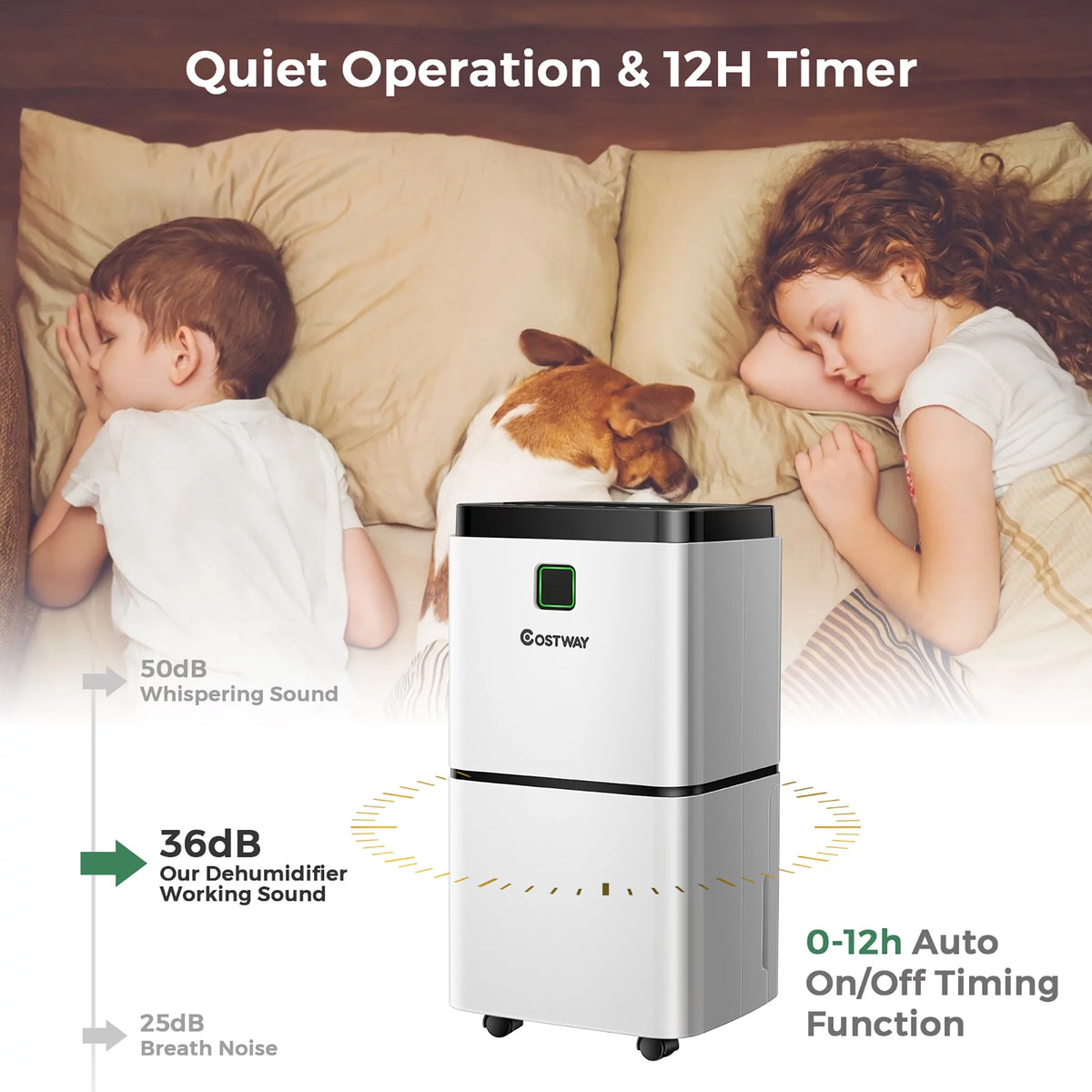 24 Pints Portable Dehumidifier Z718587