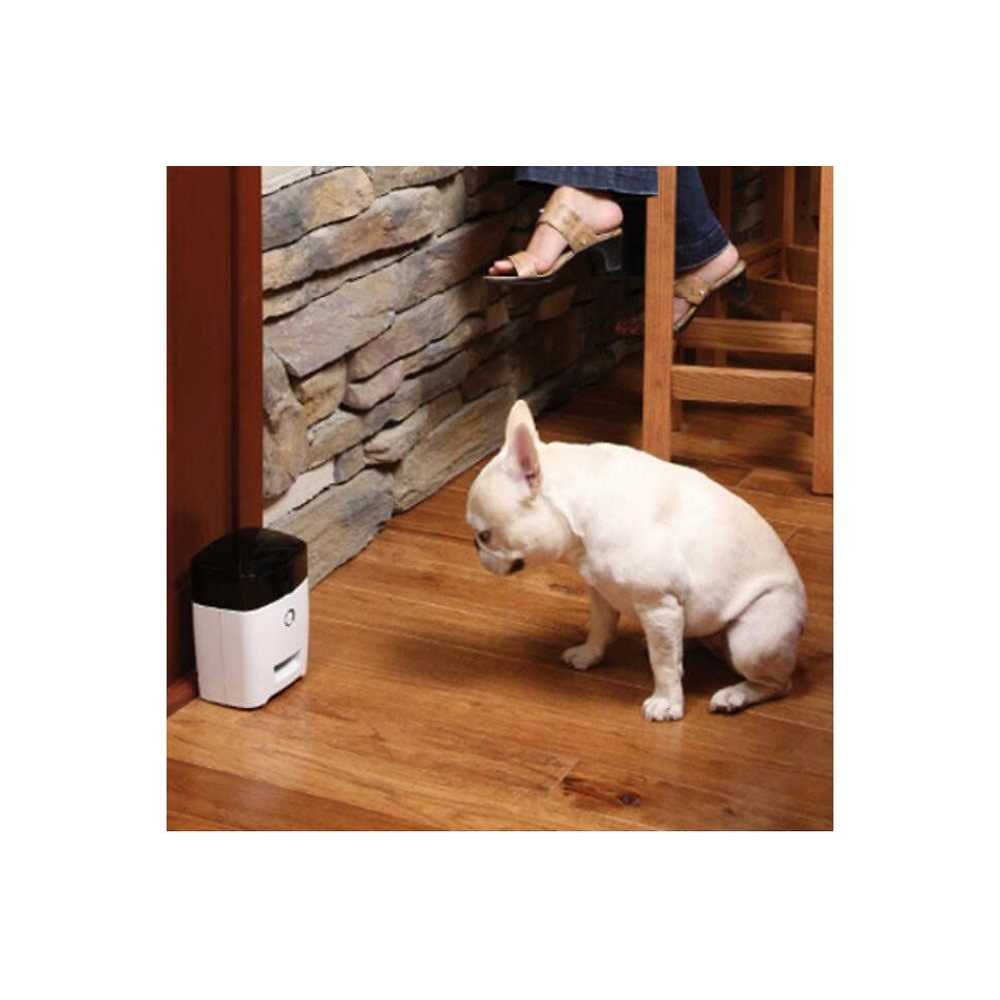 Dog Treat Dispenser Z826536