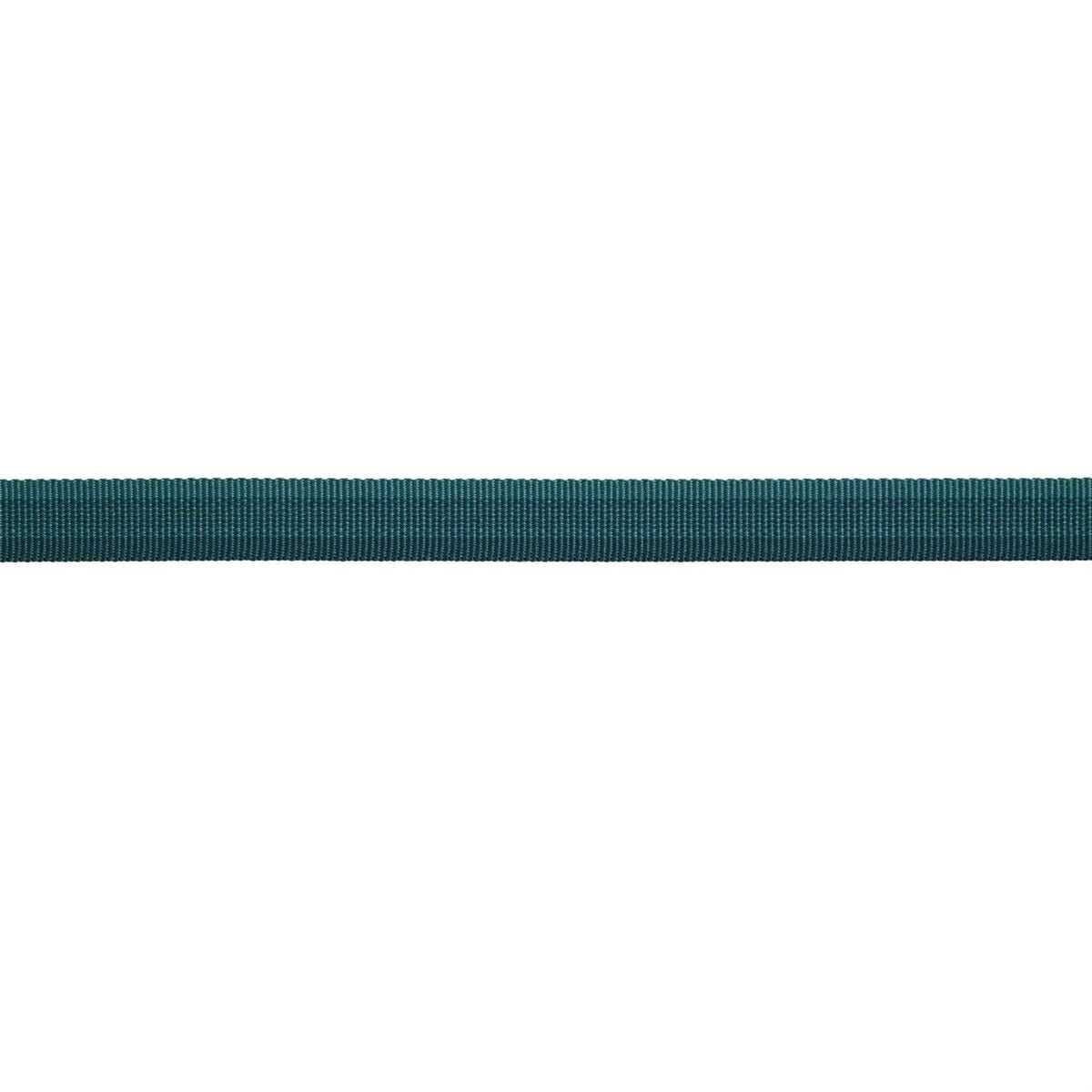 Dog Collar X385