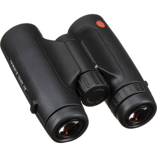 10x32 HD Binocular with Cleaning Kit and Case R497368