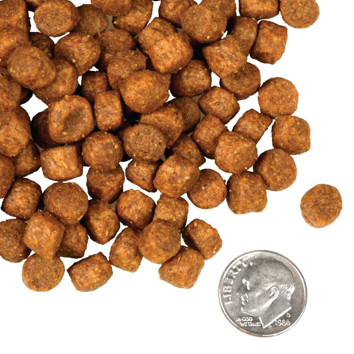 Dry Dog Food K826863