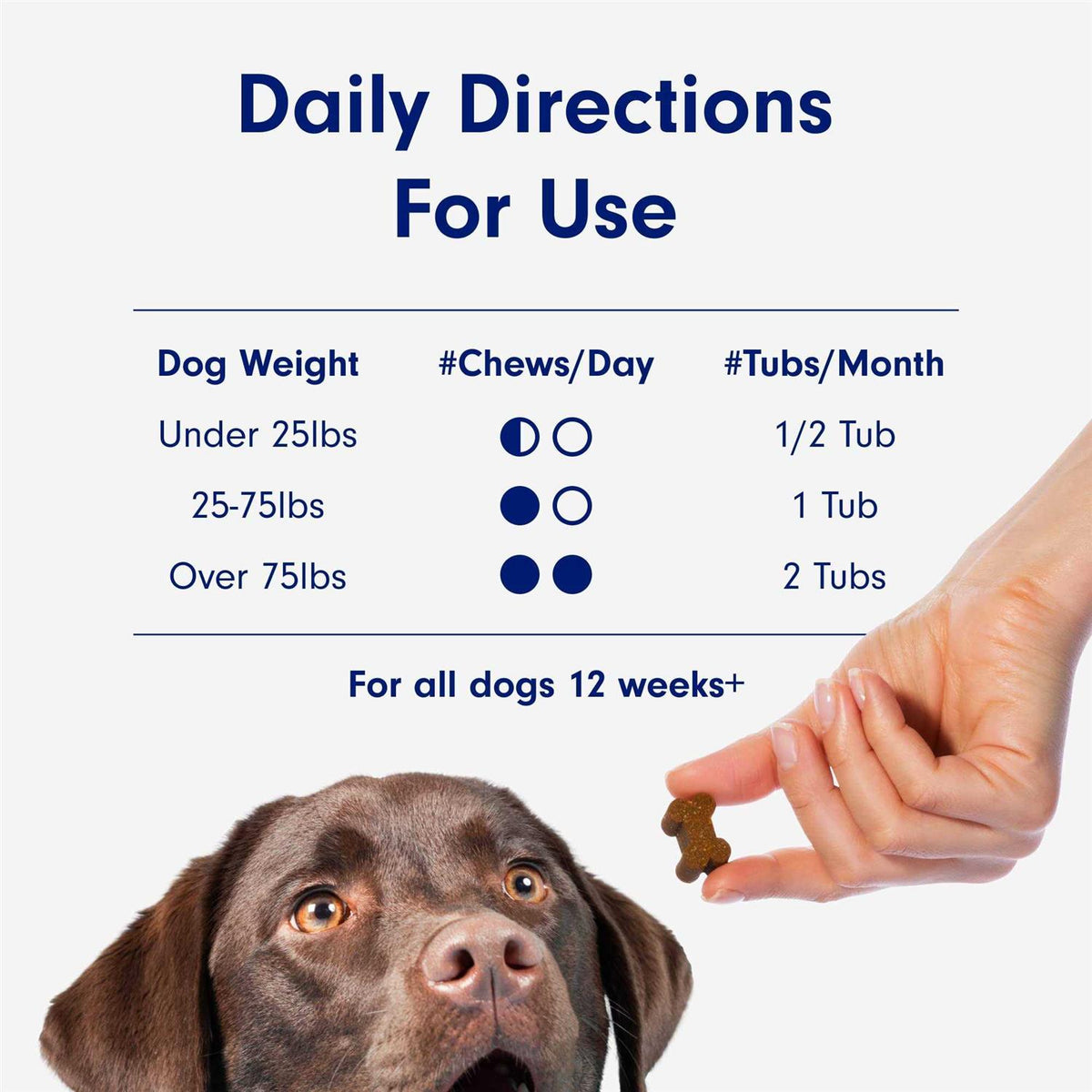Joint Care Chews for Dogs G653480