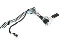 Fuel Pump and Sender Assembly P115840