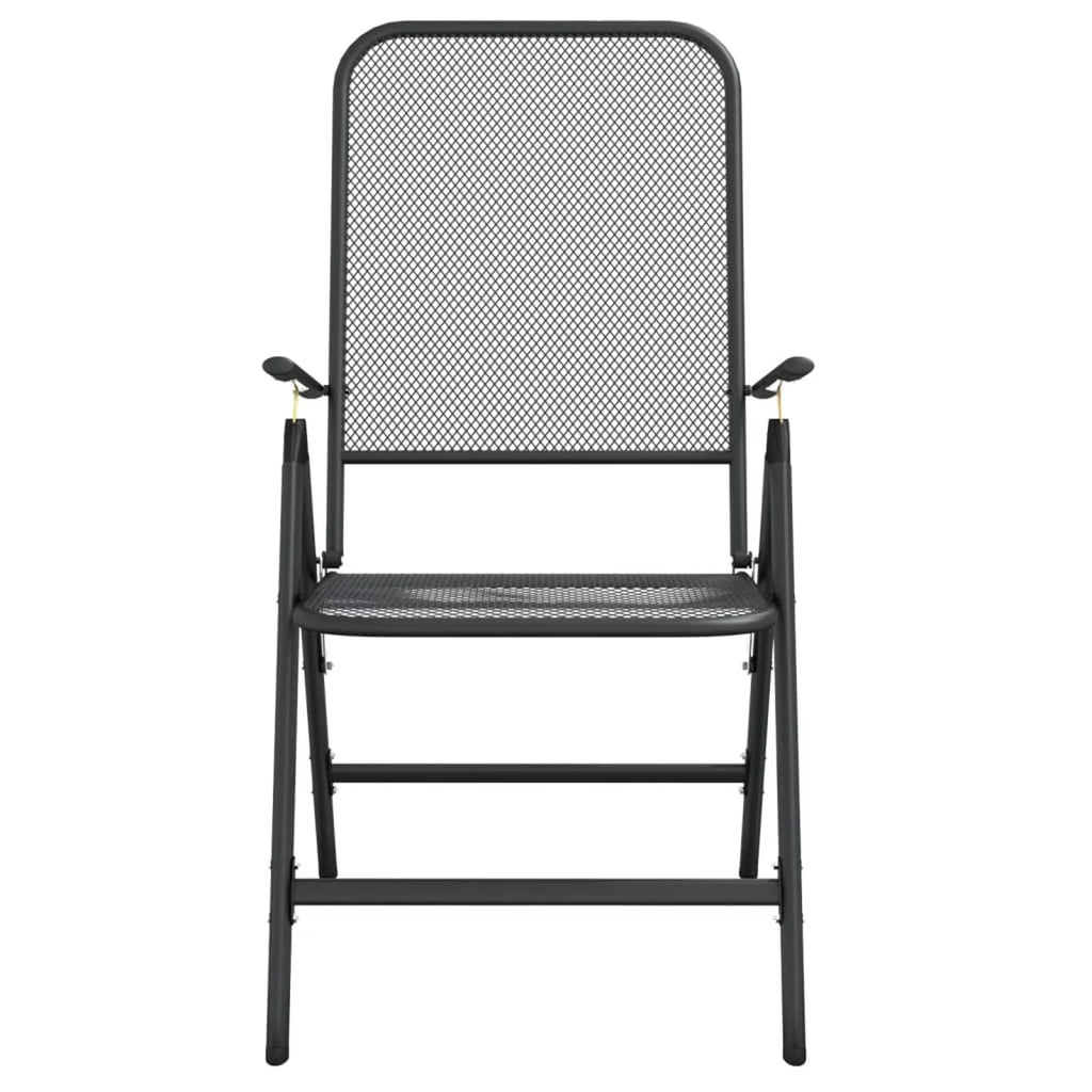 Folding Patio Chairs 2 pcs Metal Mesh Anthracite P113