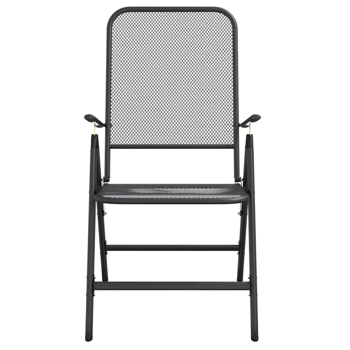 Folding Patio Chairs 2 pcs Metal Mesh Anthracite P113