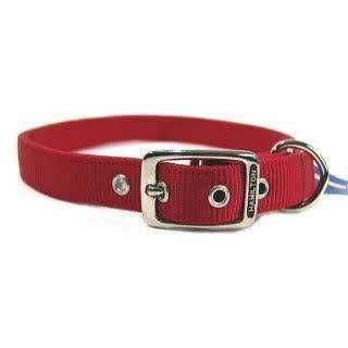 Thick Nylon Dog Collar A5063