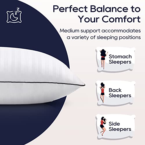 Down Alternative Pillows King Size Set of 2 U889