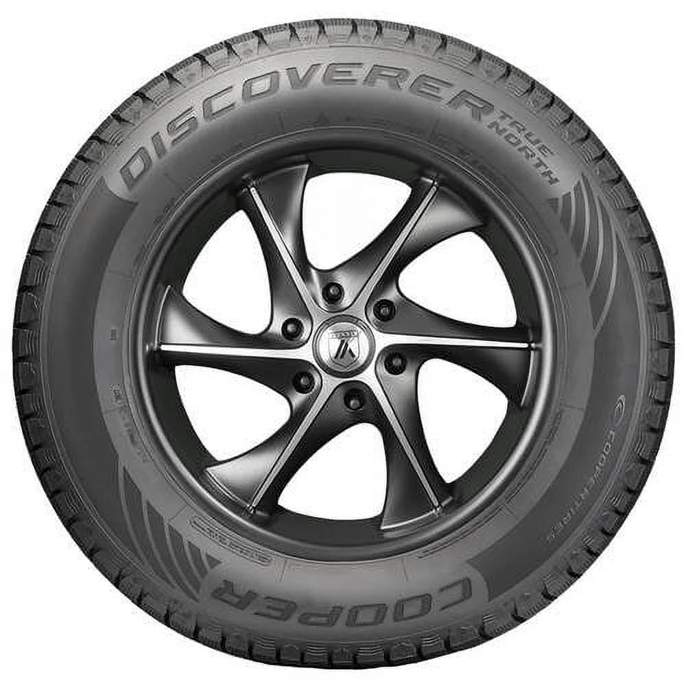Winter 205/60R16 92H Passenger Tire N428