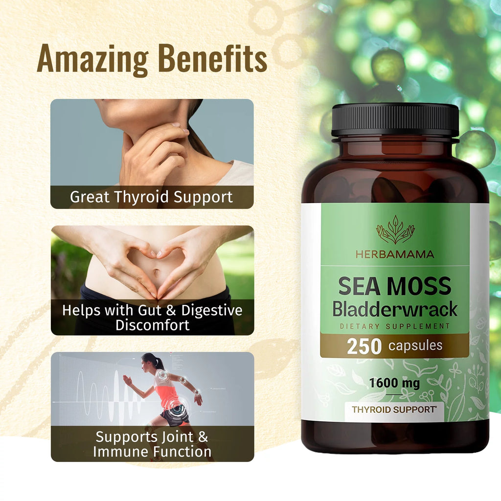Sea Moss & Bladderwrack Capsules 250 Caps K649