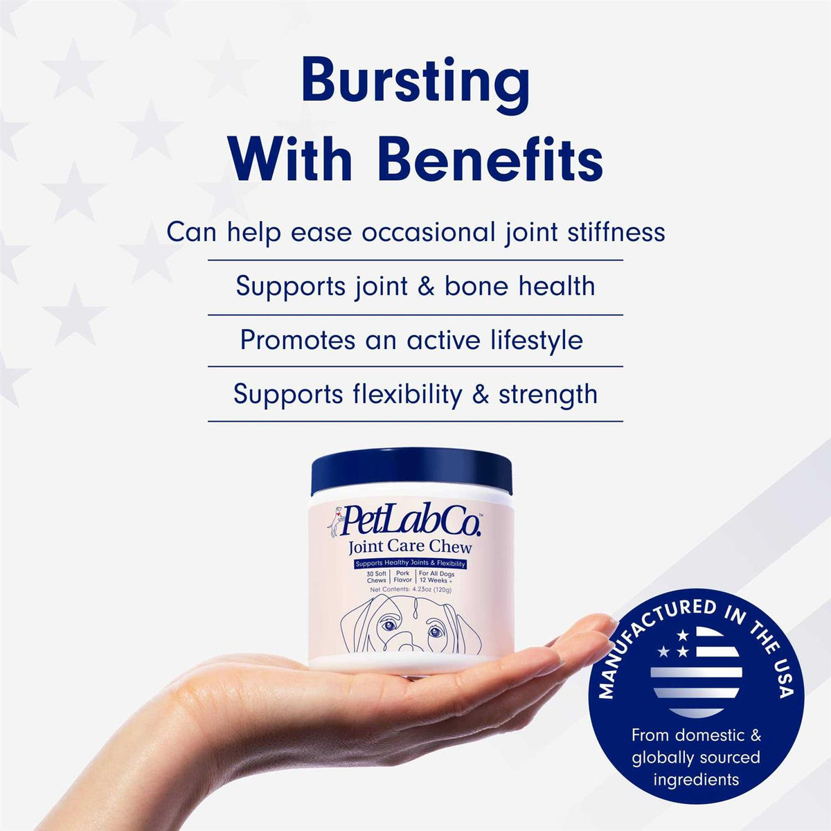 Joint Care Chews for Dogs G653480
