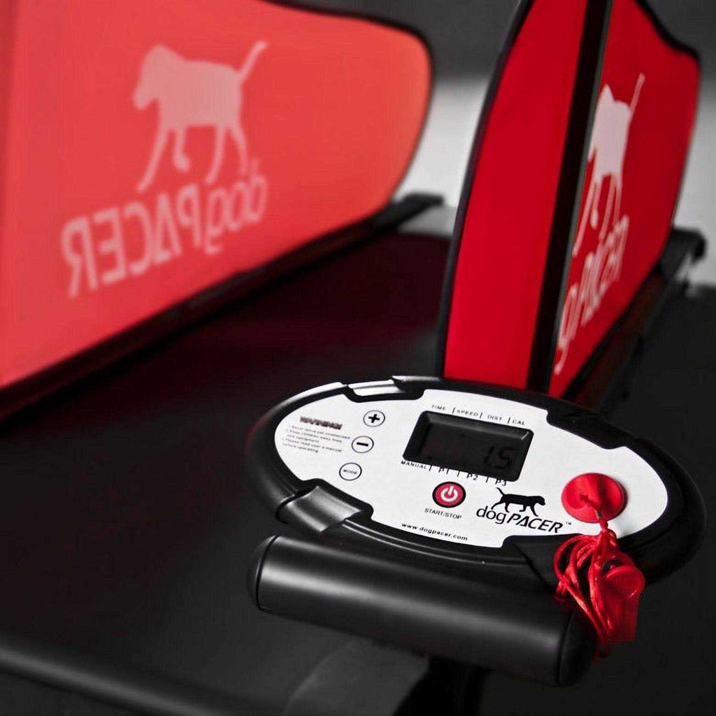 Dog Treadmill O200