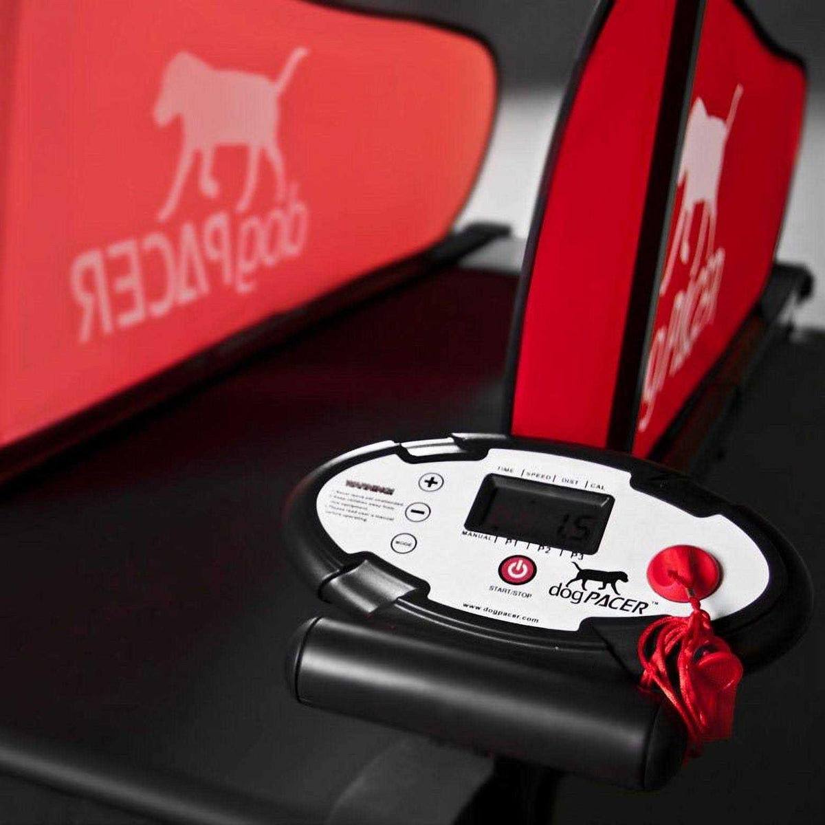 Dog Treadmill O200
