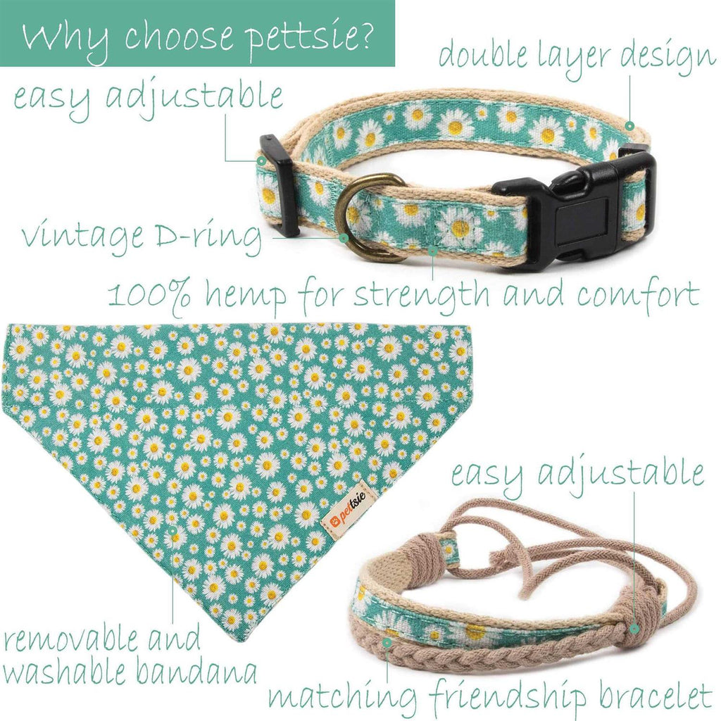 Matching Dog Collar, Bandana and Friendship Bracelet J666510