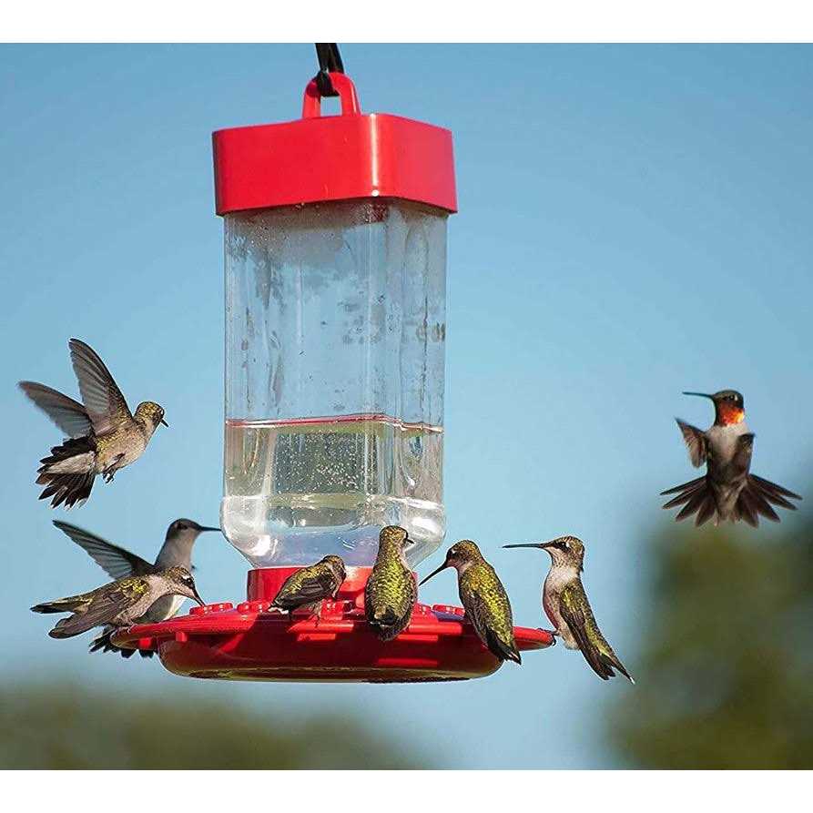 Hummingbird ElectroNectar K9967