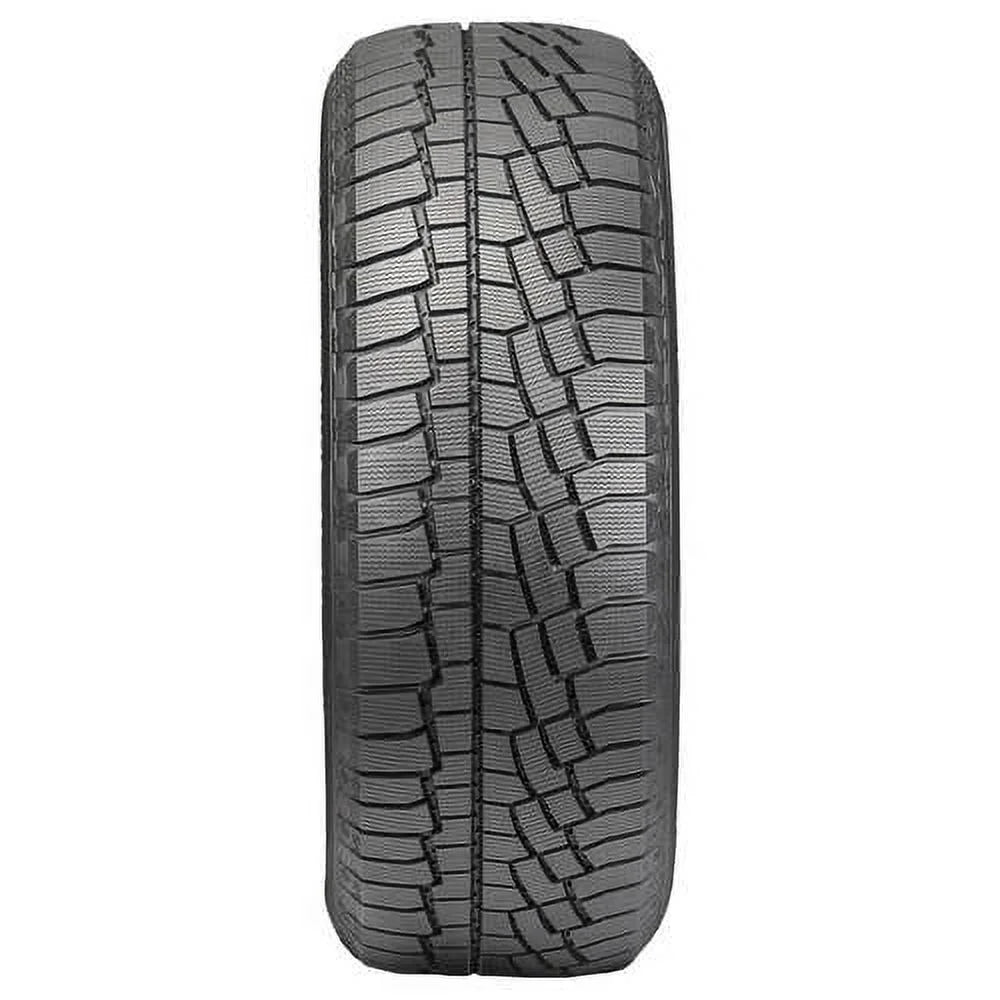 Winter 205/60R16 92H Passenger Tire N428