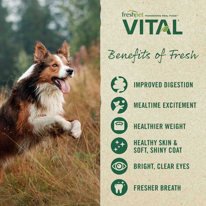 Grain-Free Beef & Bison Dog Food H2330