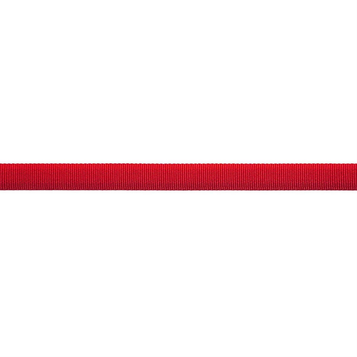 Dog Collar X385