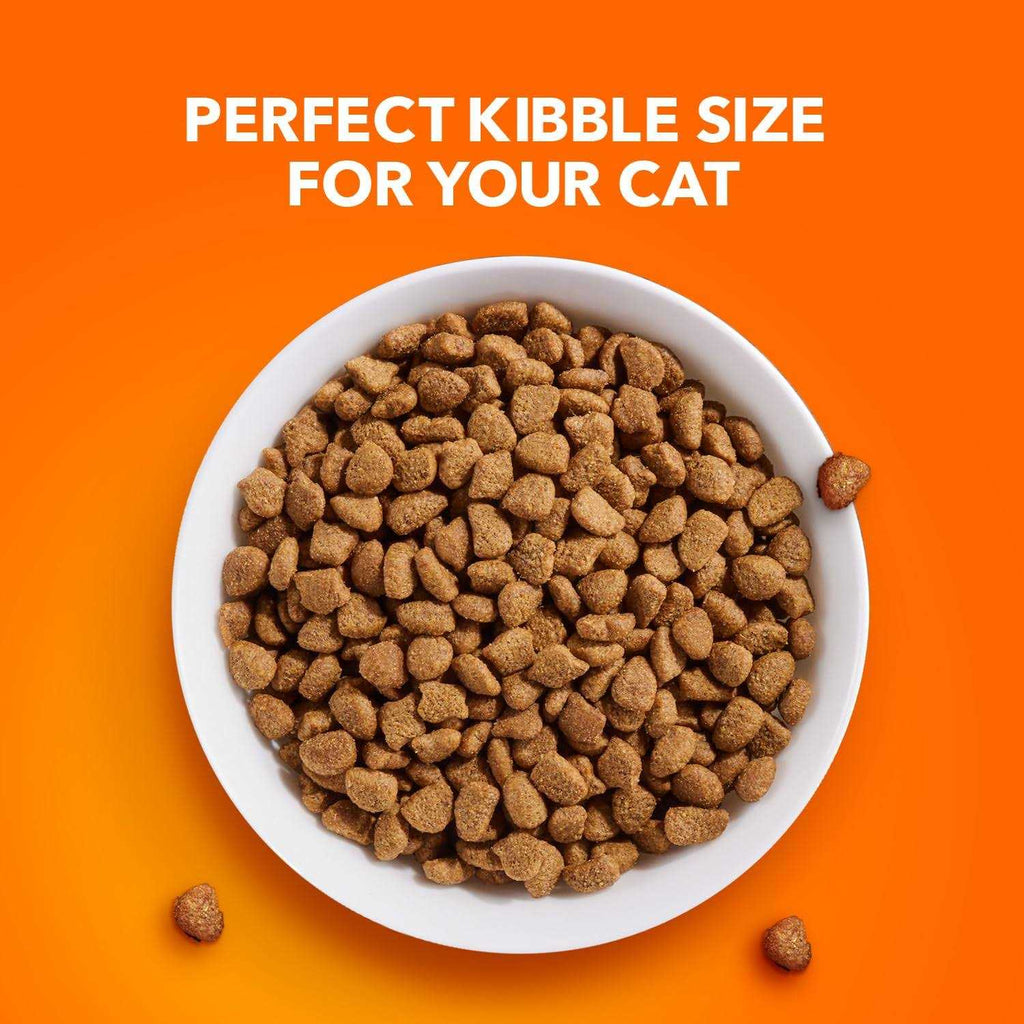 Adult Cat Food G701