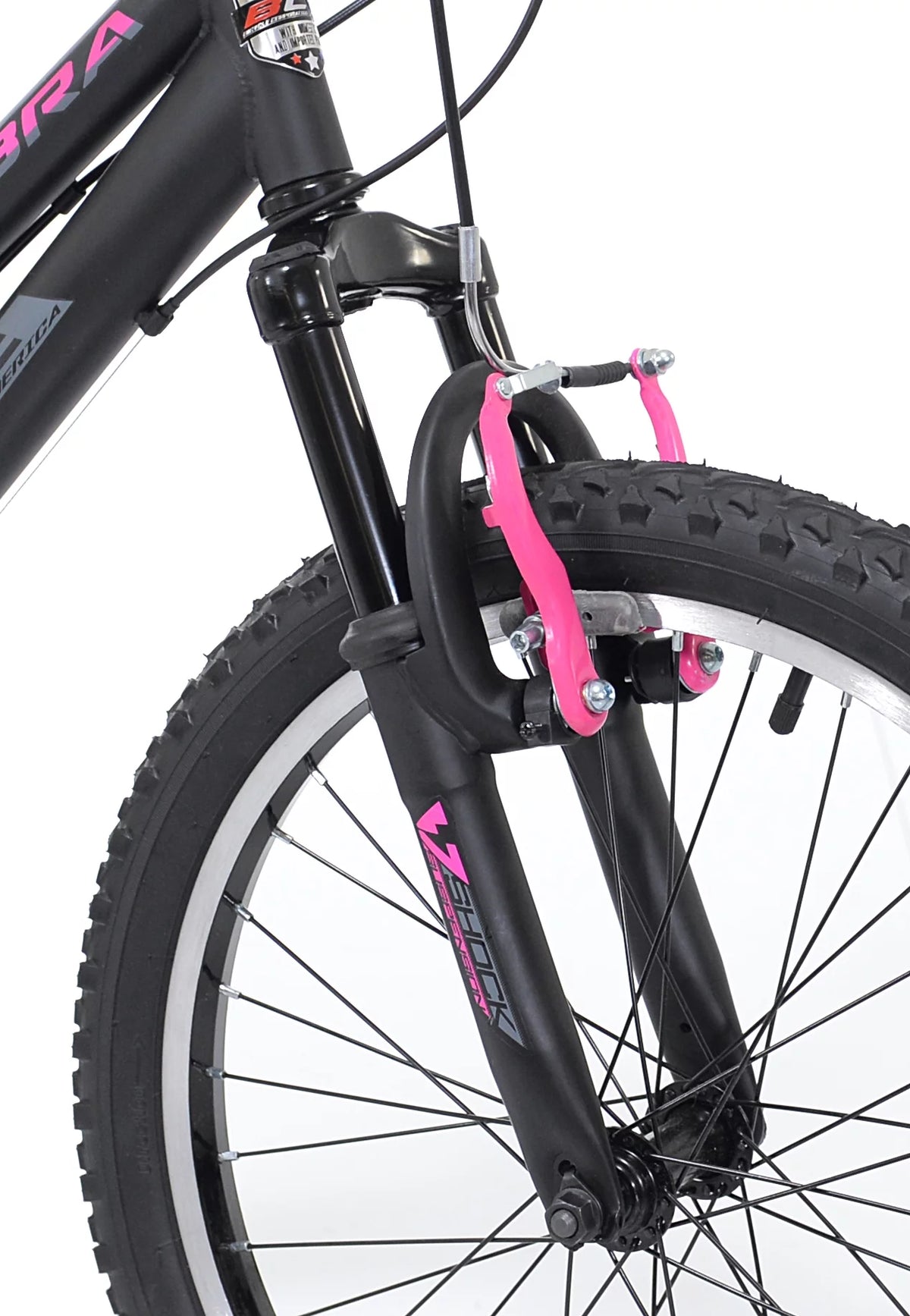 20-inch Girl's Mountain Child Bicycle V826