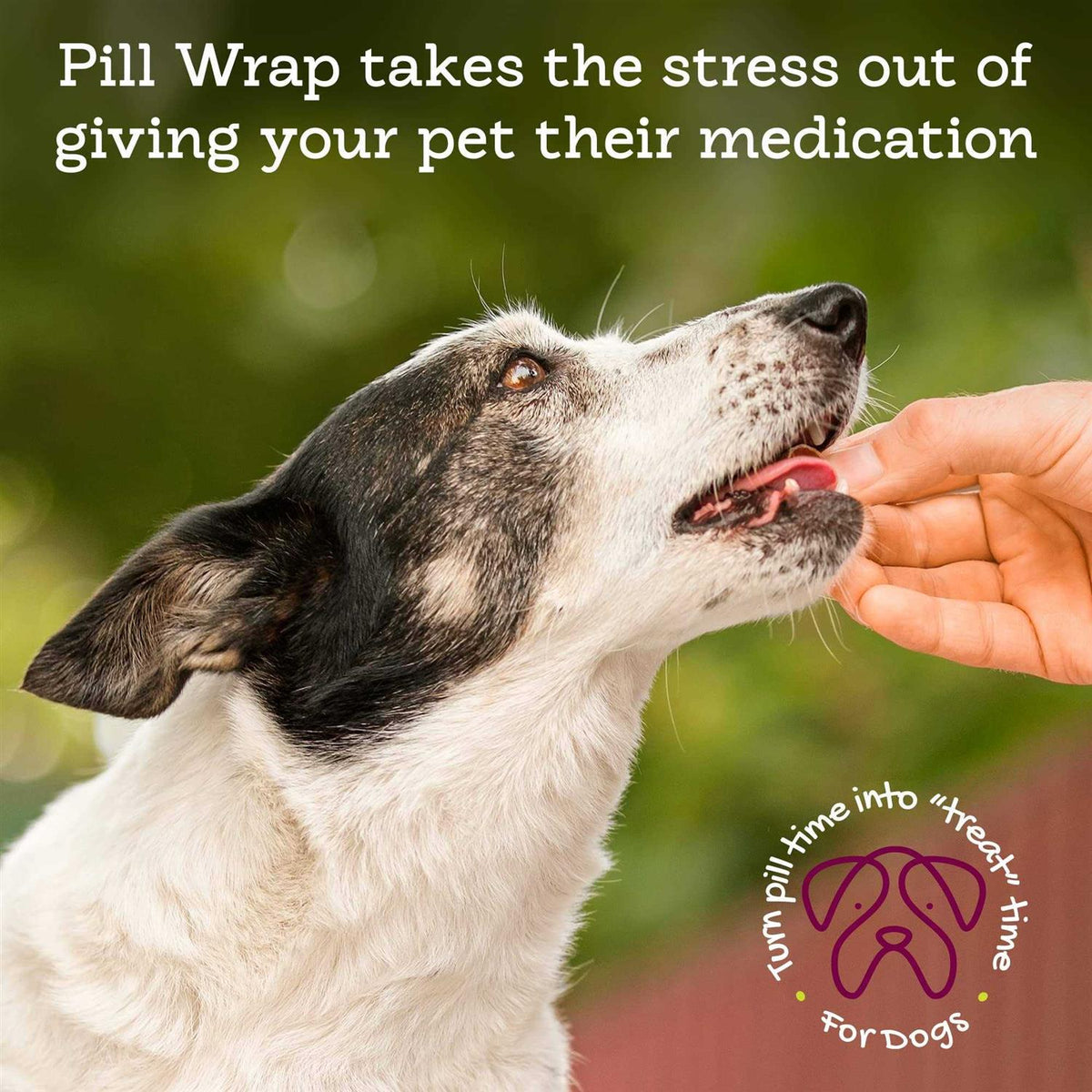 Peanut Butter Flavored Pill Paste for Dogs A4671