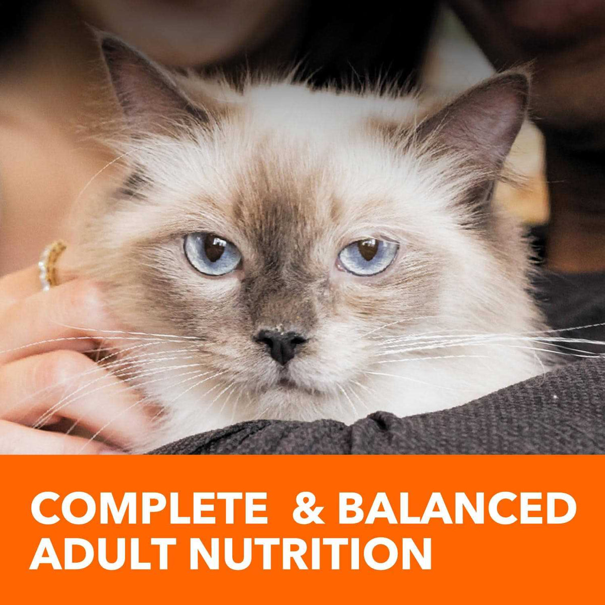Adult Cat Food G701