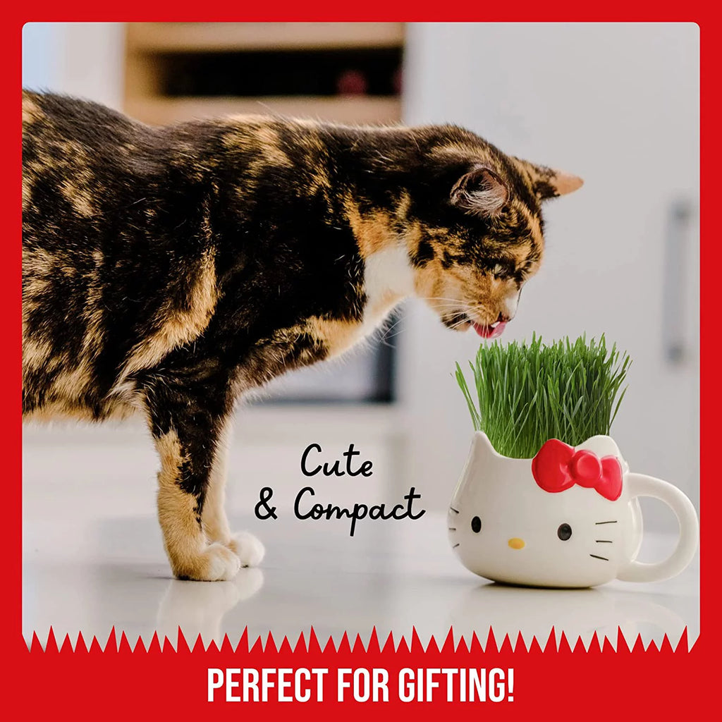 Organic Cat Grass Growing Kit with Seed Mix, Soil and Mug Planter X892