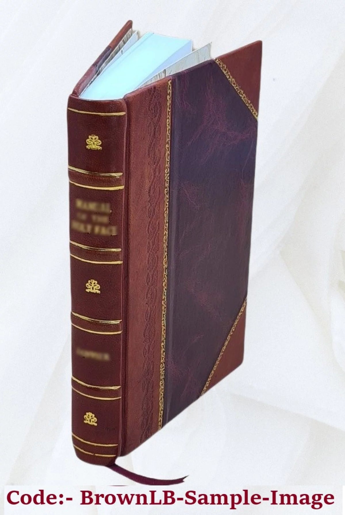 Christian Experience and Holy Living Leather Bound B91930