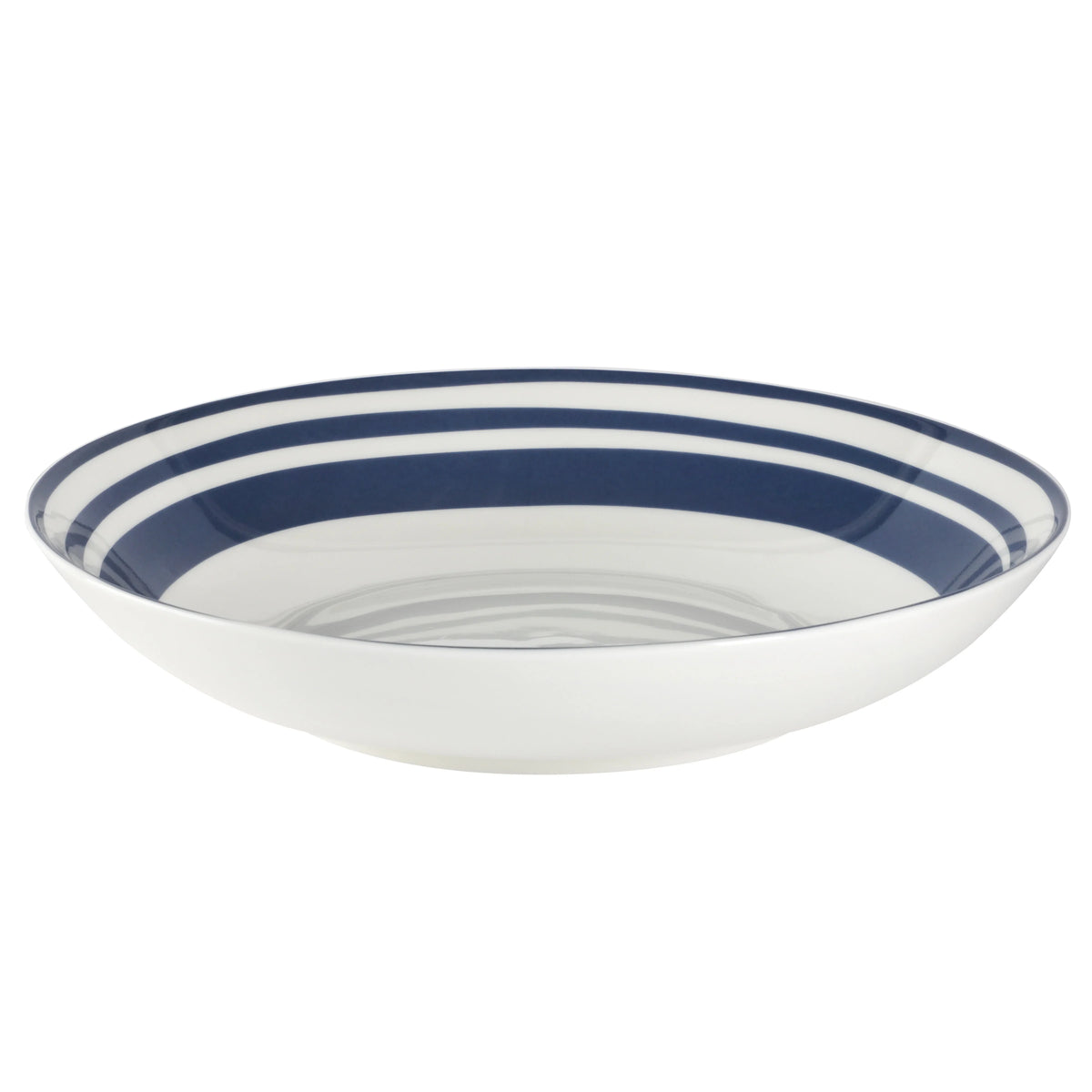 Light Blue 16-Pieces Fine China Dinnerware Set W391619