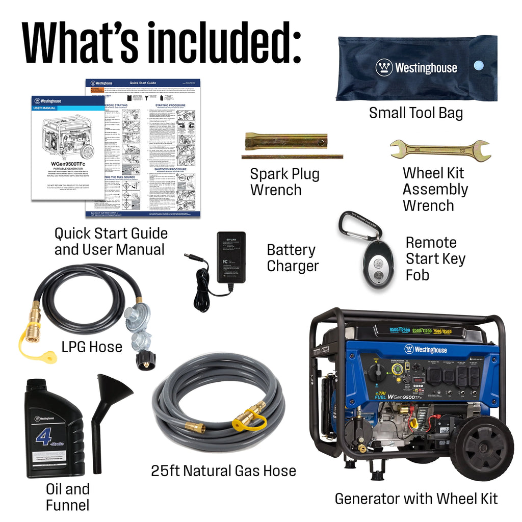 12,500 Peak Watt Dual Fuel Portable Generator P55014