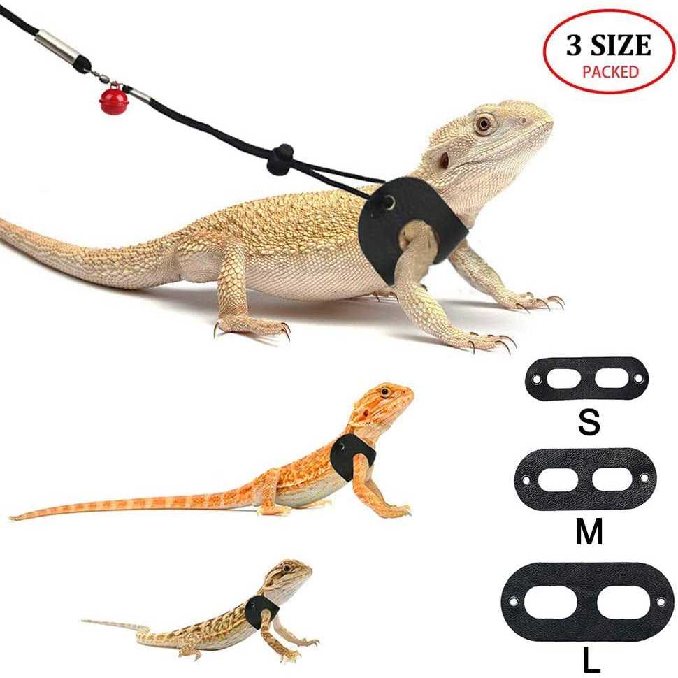 3 Packs Adjustable Soft Leather Bearded Dragon Harness and Leash V6845