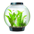 15 Aquarium with Led Lights Black D3845