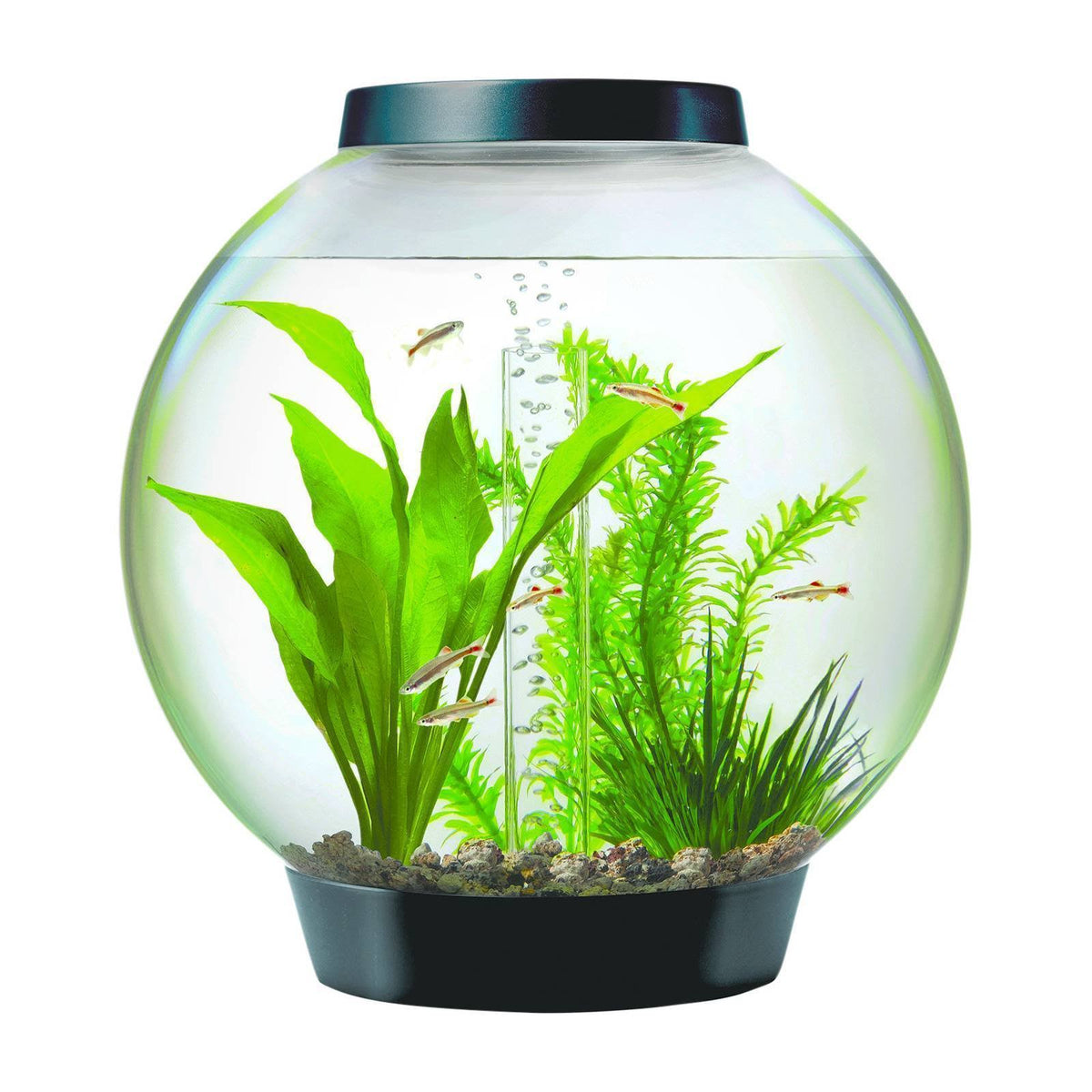 15 Aquarium with Led Lights Black D3845