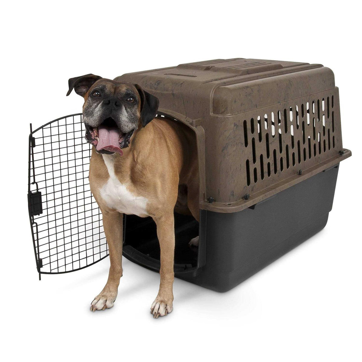 Kennel R171363