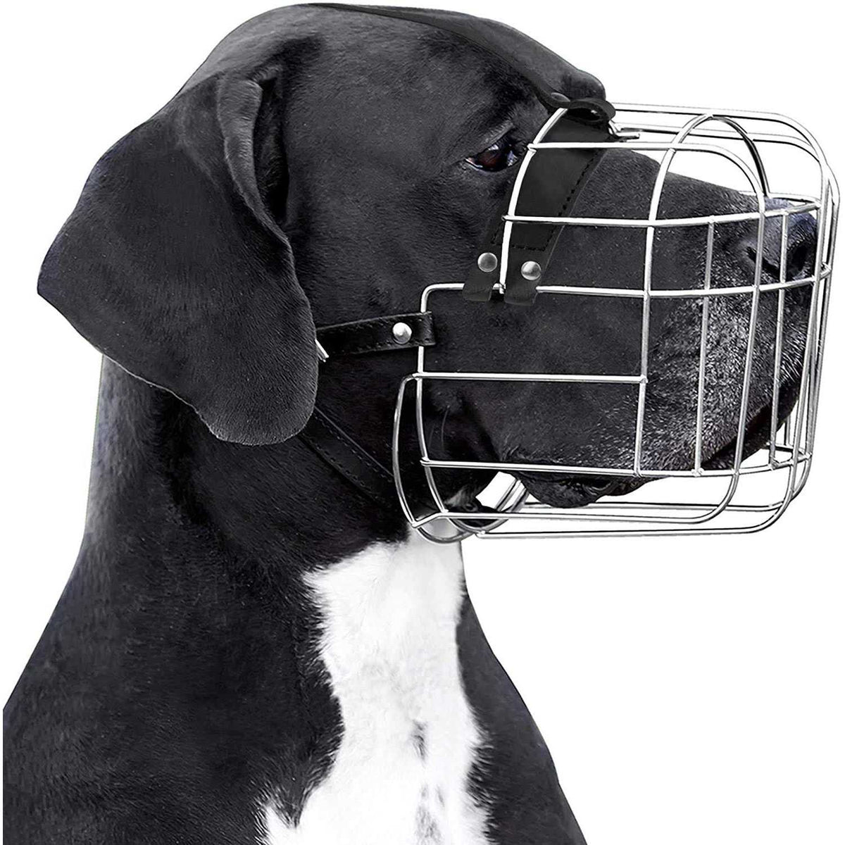 Metal Dog Muzzle Wire Basket with Leather Straps H3034