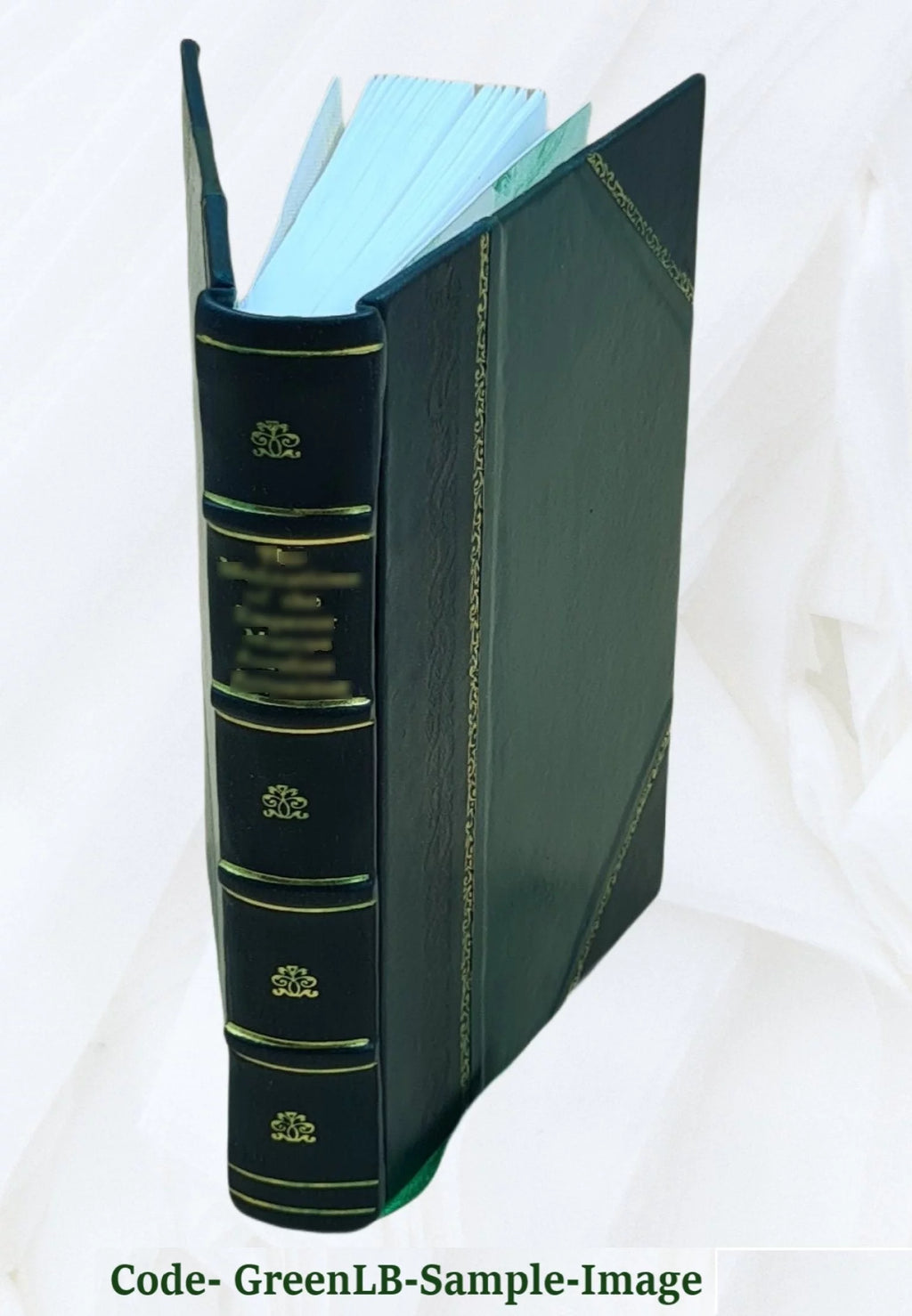 Christian Experience and Holy Living Leather Bound B91930